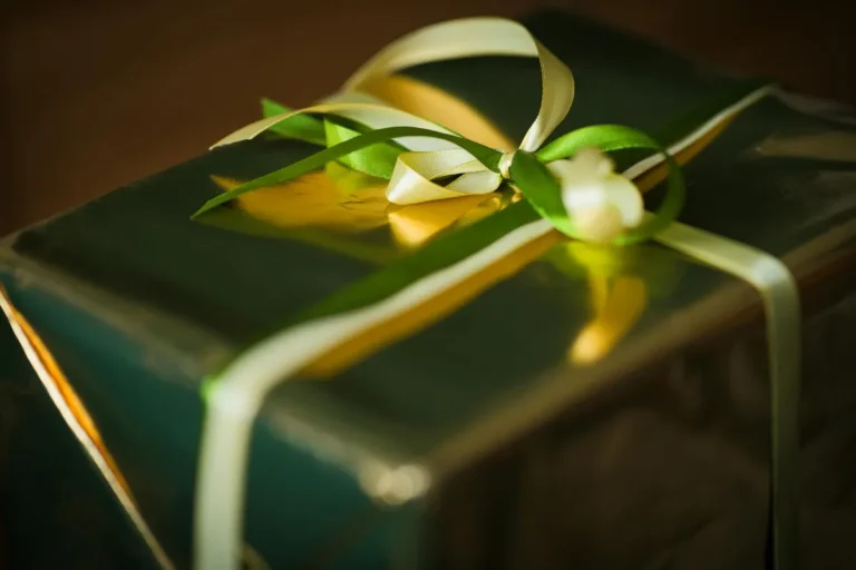 The Five Gift Ideas I Recommend Every Single Year (And Why)