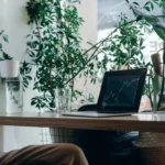 Lifestyle Trends to Watch This Year