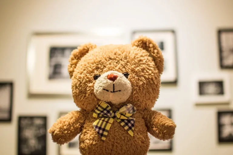 Teddy Bear Gifts: Beginner Guide