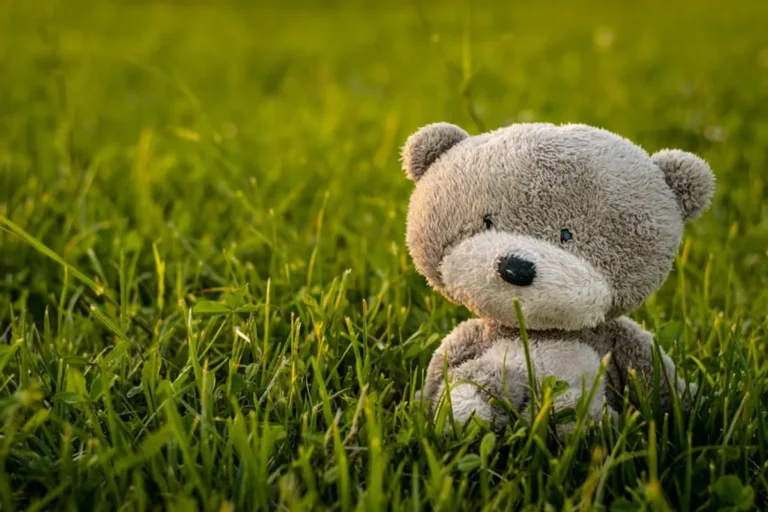 Teddy Bear Gifts Comparison Guide