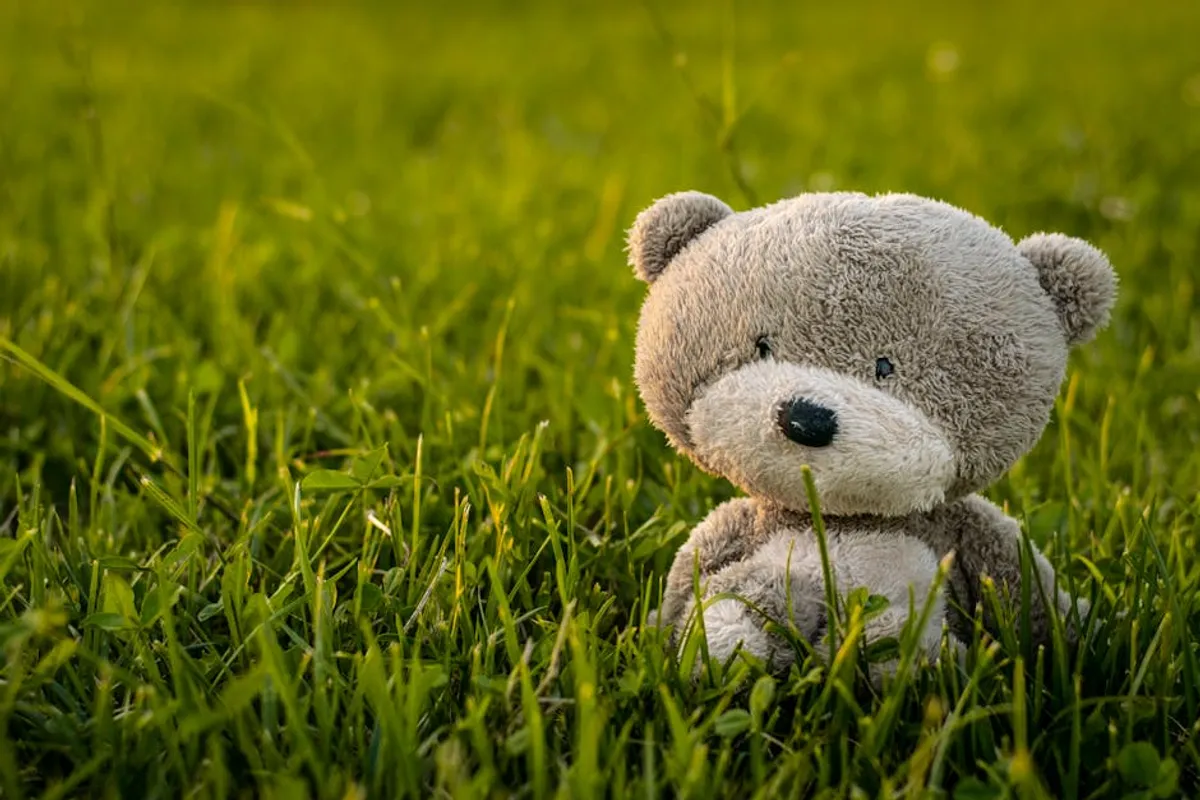 Teddy Bear Gifts Comparison Guide