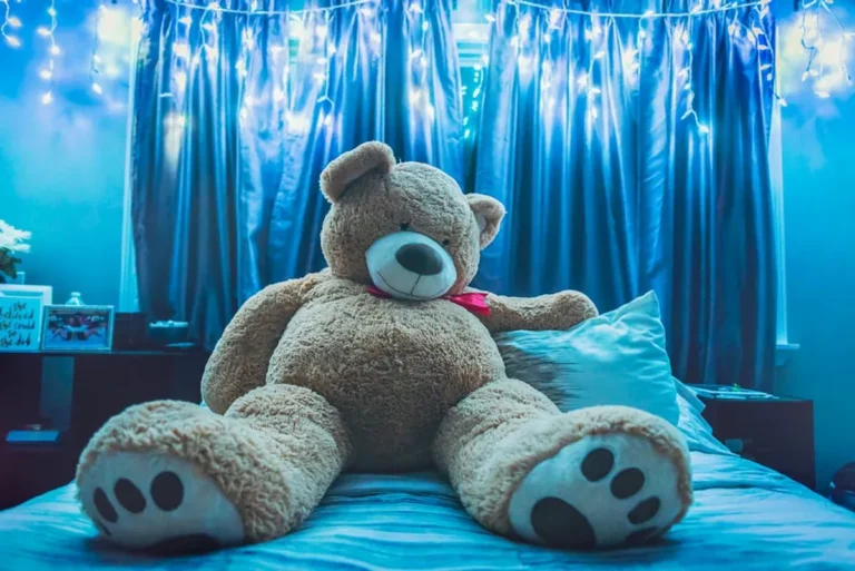 Teddy Bear Gifts: Complete Overview