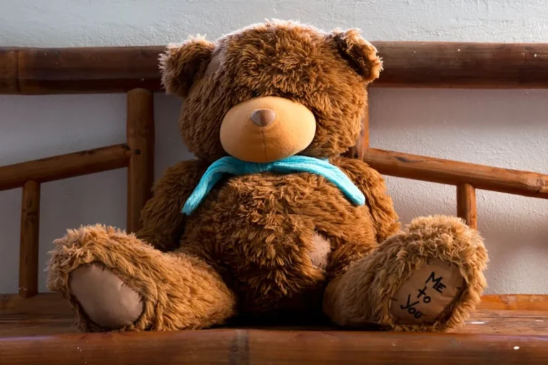 Teddy Bear Gifts Examples