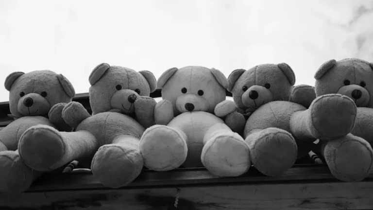 Teddy Bear Gifts Tips