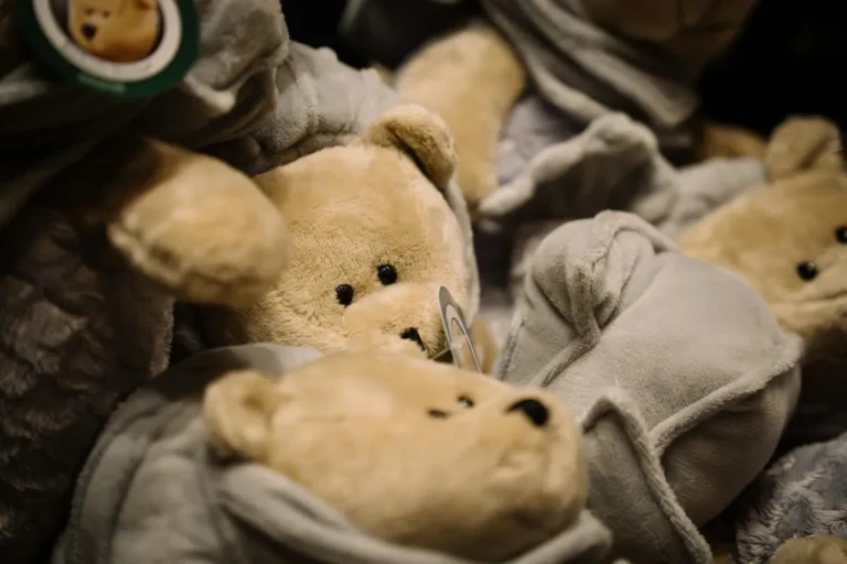 I've Sold Teddy Bears for Eleven Years. Here's What Actually Makes One Good.